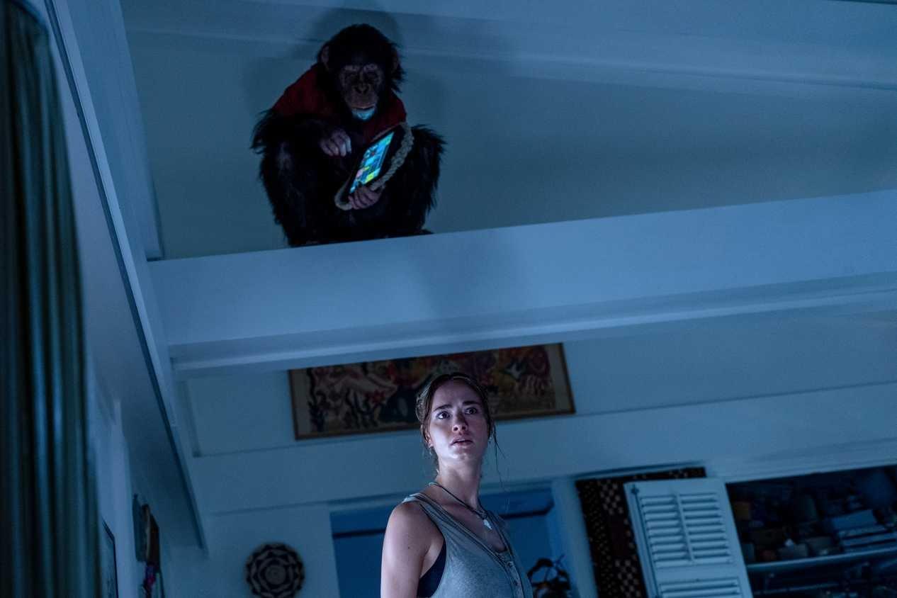 Linh Trưởng poster